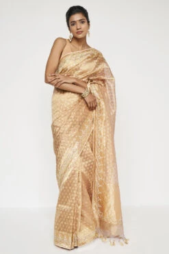 Daivi Benarasi Saree - Gold