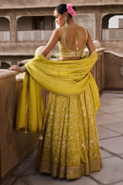 Nartakee Lehenga - Lime -Anita Dongre AD F22A2 LIME 1