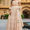 Aadhya Lehenga-Beige