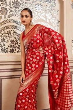 Tvesa Benarasi Saree - Red -Anita Dongre AD OBR1 RED 3