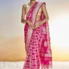 Chitra Benarasi Saree - Pink