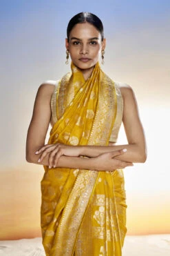 Sahana Benarasi Saree -Mustard 14 Sahana Benarasi Saree -Mustard -Anita Dongre BSR88A MUSTARD 6