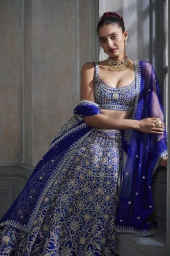 Vanishri Lehenga Set – Blue -Anita Dongre F21R21​LCD blue 4