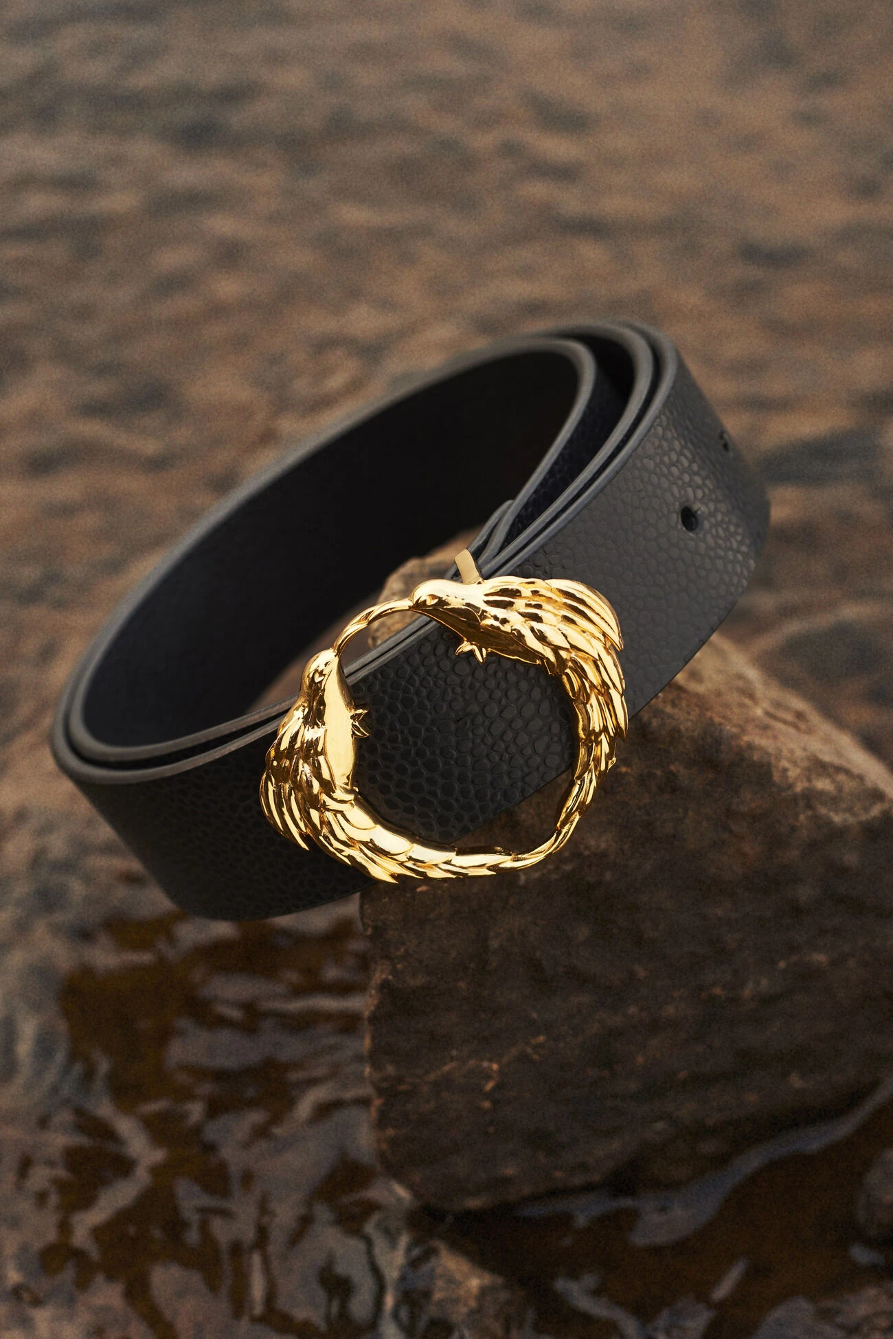 Birds Of A Feather Belt - Nocturnal Black 3 Birds Of A Feather Belt - Nocturnal Black