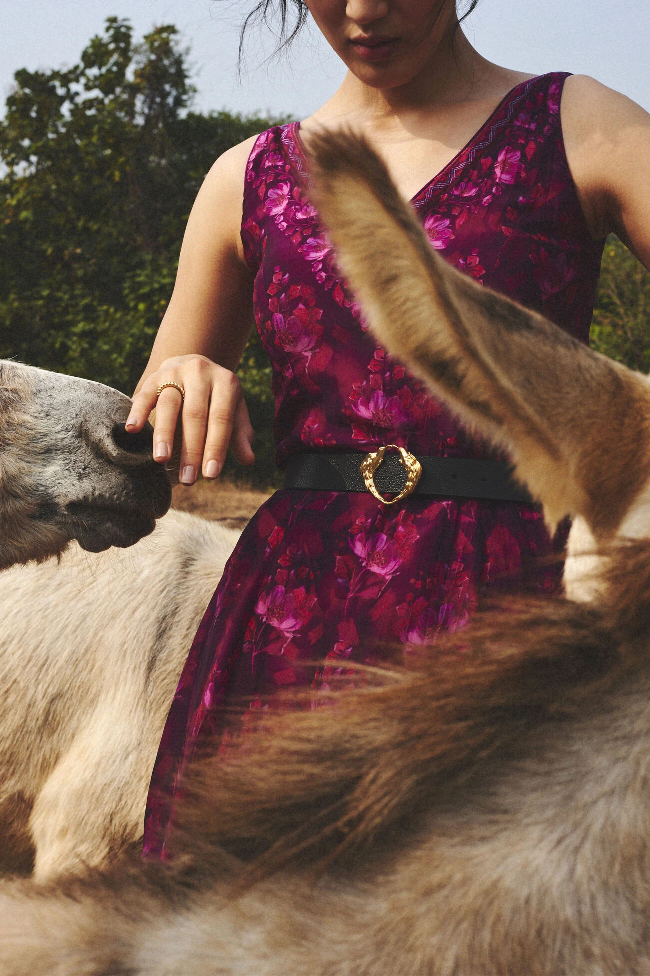 Birds Of A Feather Belt - Nocturnal Black 4 Birds Of A Feather Belt - Nocturnal Black - Image 2