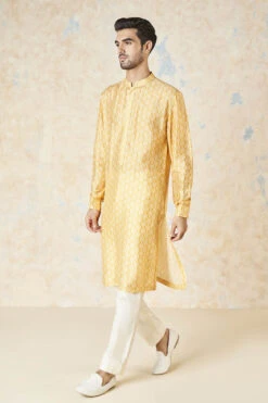 Iravan Kurta - Mustard -Anita Dongre F23M37K Mustard 2