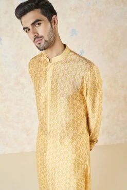 Iravan Kurta - Mustard -Anita Dongre F23M37K Mustard 4