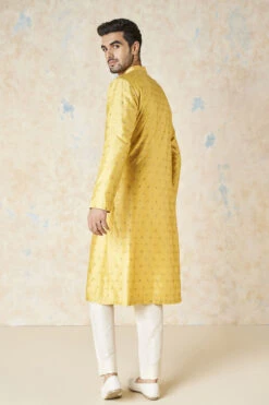 Risay Kurta - Mustard 10 Risay Kurta - Mustard -Anita Dongre F23M6K Mustard 3