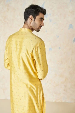 Risay Kurta - Mustard 12 Risay Kurta - Mustard -Anita Dongre F23M6K Mustard 5