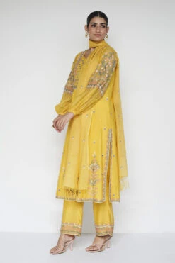 Philomel Suit Set - Yellow -Anita Dongre F23R119 Yellow 5