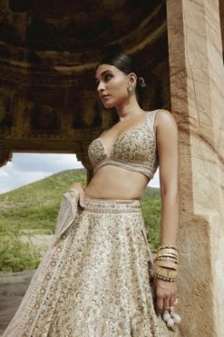 Mridhini Lehenga - Beige -Anita Dongre F23R193MTO BEIG 3