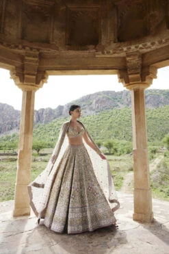 Mridhini Lehenga - Beige -Anita Dongre F23R193MTO BEIG 4