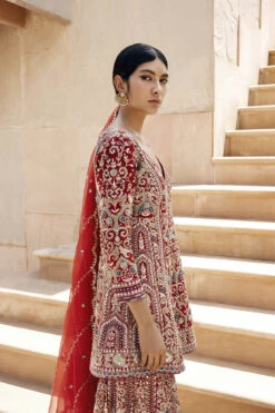 Chand Gharara Set - Red -Anita Dongre F23R200MTO REDD 4