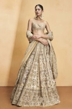Hymn Of The Forest Lehenga - Gold -Anita Dongre F23R593MTO Gold 1