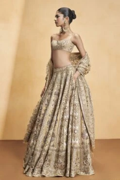 Hymn Of The Forest Lehenga - Gold -Anita Dongre F23R593MTO Gold 2