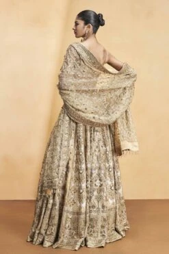 Hymn Of The Forest Lehenga - Gold -Anita Dongre F23R593MTO Gold 3