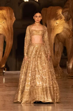 Hymn Of The Forest Lehenga - Gold