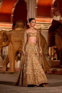 Hymn Of The Forest Lehenga - Gold -Anita Dongre F23R593MTO R Gold 3