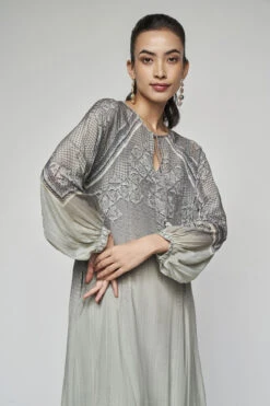 Daphne Dress - Grey -Anita Dongre F23SP35 Grey 4