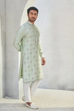 Anvit Kurta - Sage