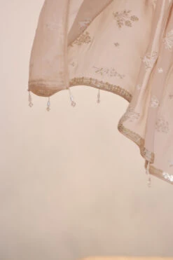 Iqra Saree - Flesh 17 Iqra Saree - Flesh -Anita Dongre S23R222SC Flesh 8