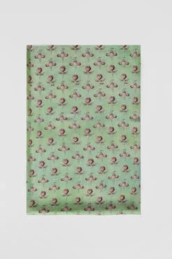 Shyla Saree - Sage -Anita Dongre S23SN30 Sage