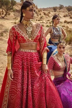 Bhuvi Bandhani Lehenga Set – Red -Anita Dongre ad f21p79lcd red 2