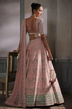 Aeindri Lehenga Set – Blush -Anita Dongre ad f21r16lcd blush 3