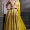 Dharvi Lehenga Set – Lime 1 Dharvi Lehenga Set – Lime -Anita Dongre ad f21r24lcd lime