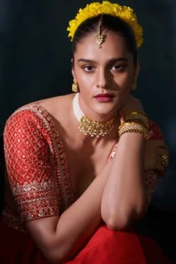 Janki Lehenga Set – Red -Anita Dongre ad f21r74lcd red 3