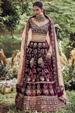 Vrita Lehenga -Anita Dongre ad fw20ab011lcd burgundy velvet 3