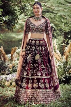 Vrita Lehenga -Anita Dongre ad fw20ab011lcd burgundy velvet 4