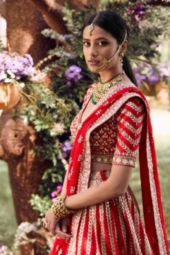 Alipriya Lehenga 9 Alipriya Lehenga -Anita Dongre ad fw20ab014lcdd1 garnet red 3
