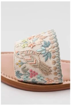 Panchi Sliders -Anita Dongre ad panchi 4 1