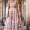 Butterfly Blush Lehenga Set - Blush