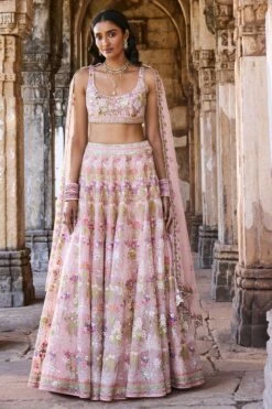 Butterfly Blush Lehenga Set - Blush
