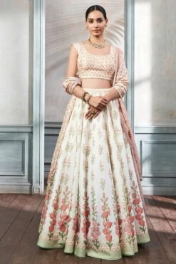 Devanshi Lehenga Set