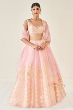 Amari Lehenga Set -Blush