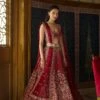 Vilina Lehenga Set-Wine