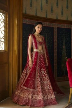 Vilina Lehenga Set-Wine