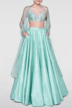 Pankhuri Lehenga -Anita Dongre ss19rr343 sage 1