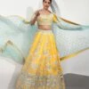 Anastacia Lehenga -Anita Dongre ss20rr042lcd yellow 2