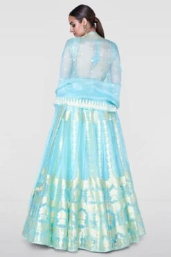 Alethi Lehenga-Powder Blue -Anita Dongre ss20rr100 seafoam 4