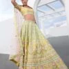 Akasia Lehenga -Anita Dongre ss20rr115lcd lime 1