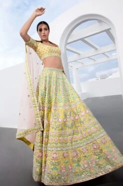 Akasia Lehenga